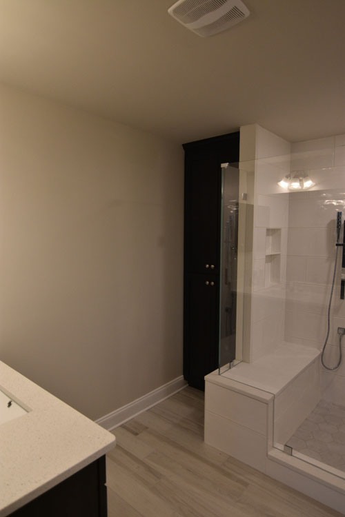 Shower Room Remodeling