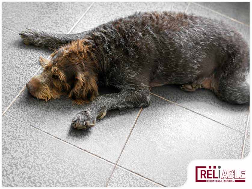 What Are the Best Flooring Options for Households With Pets?